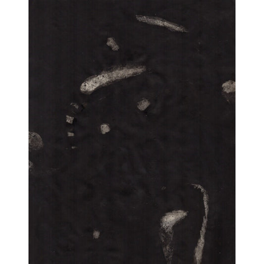 1016 - 8.5" x 11"