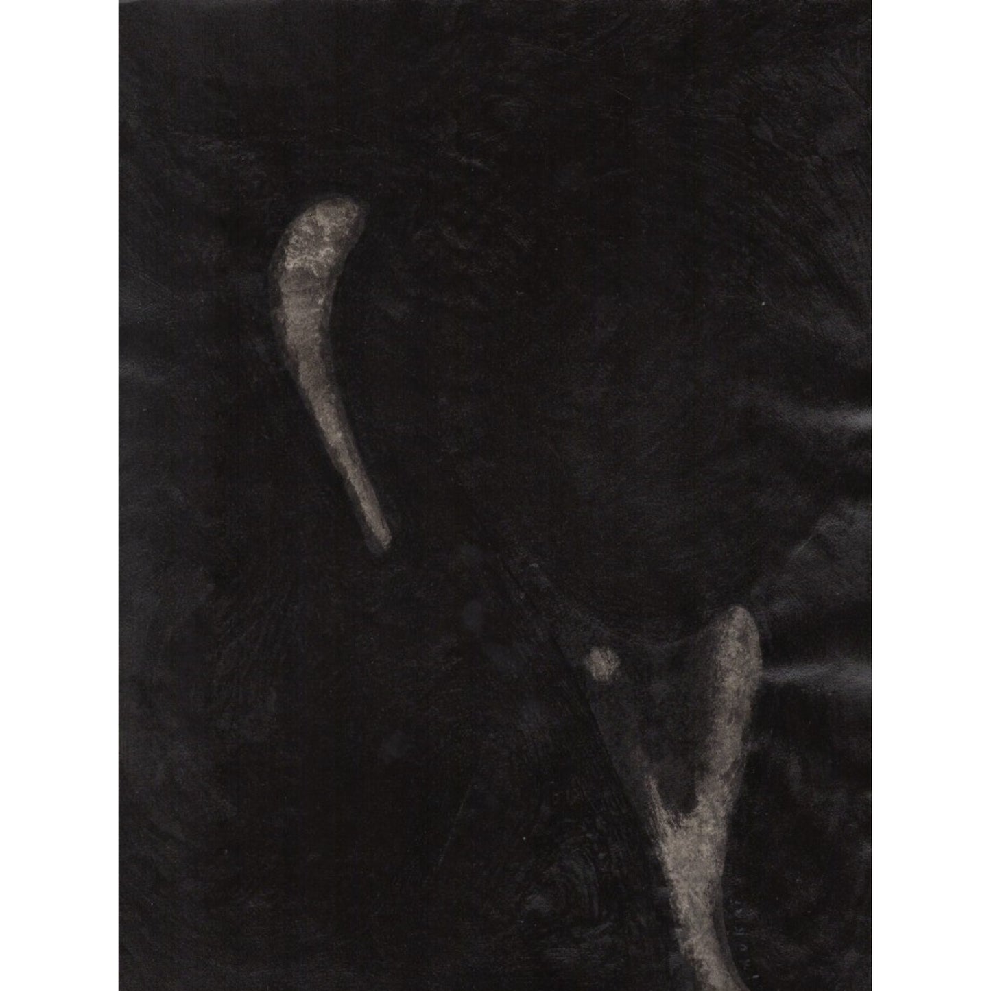 1041 - 8.25" x 10.75"