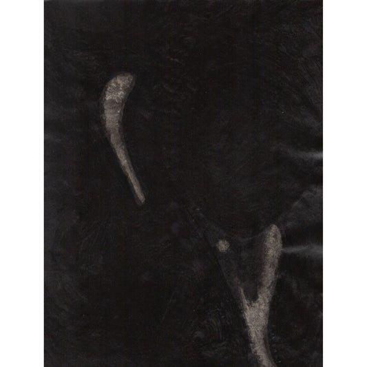 1041 - 8.25" x 10.75"