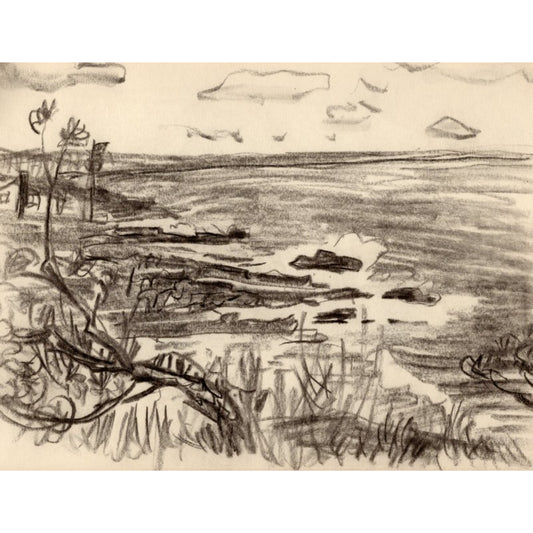 1566 - 11.75" x 9"