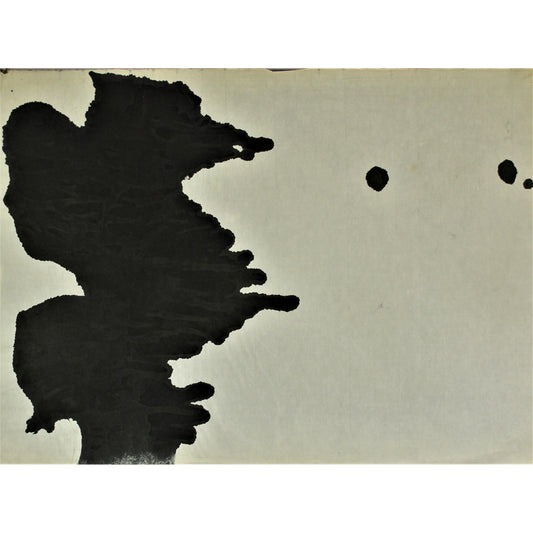 3141 - 33" x 24"